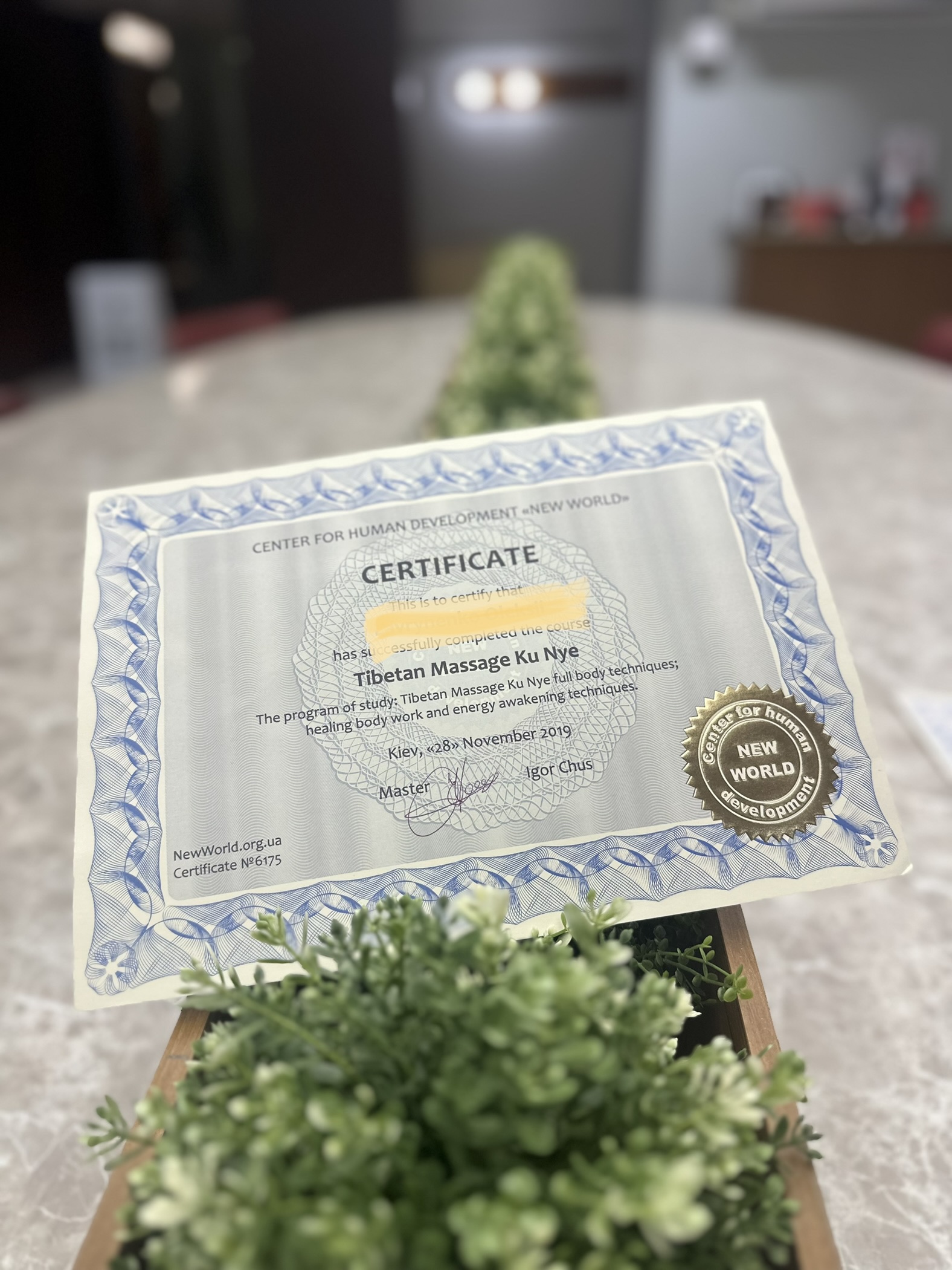 educational certificate alex healing